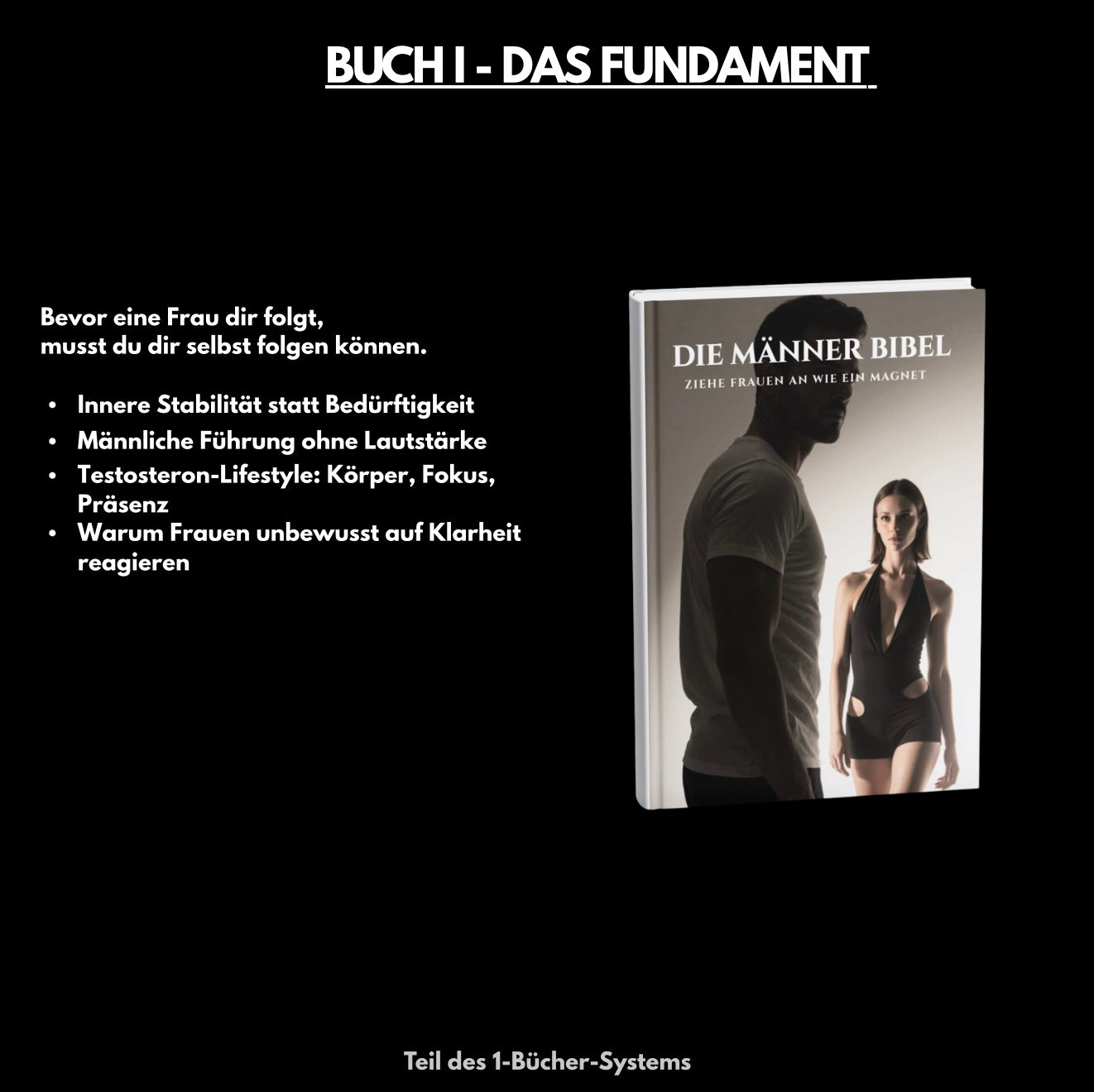 Das Playbook Trio | Anziehung. Macht. Kontrolle | Das System